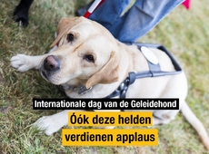 N-VA Avelgem - Dag van de Geleidehond