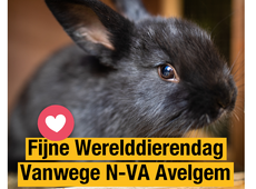 N-VA Avelgem - Werelddierendag 04 10 20