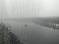 Visvijver, gelegen in de Scheldemeersen, nabij de Moerbeekstraat