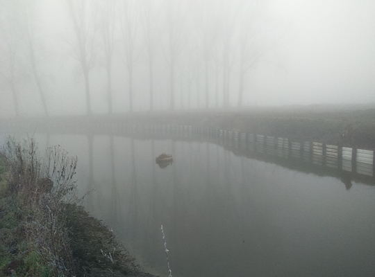 Visvijver, gelegen in de Scheldemeersen, nabij de Moerbeekstraat
