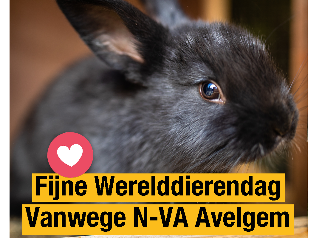 N-VA Avelgem - Werelddierendag 04 10 20