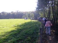 Avelgem - Dag van de trage weg - weide