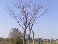 Avelgem - Dag van de trage weg - herfst